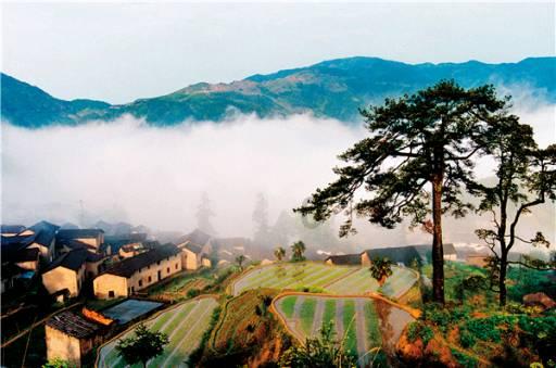 沪江开心词场